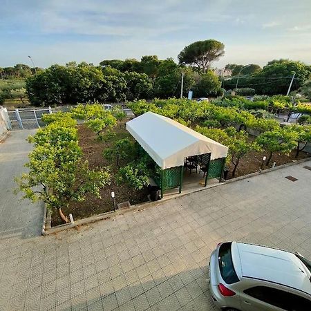 Appartamento Roccaforte Bi Rosso تراباني المظهر الخارجي الصورة